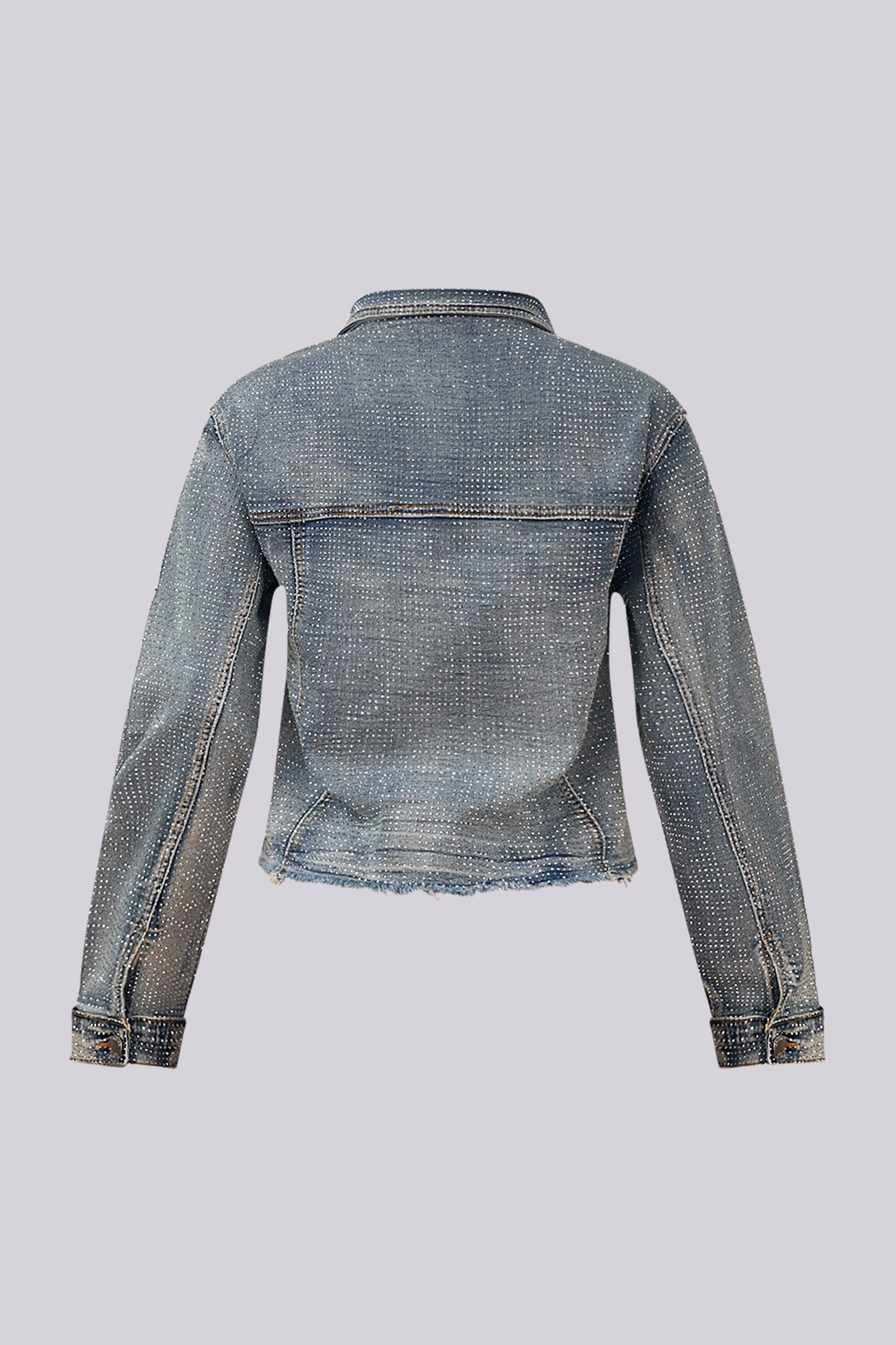 Opulent Rhinestone Denim Jacket - Image 9