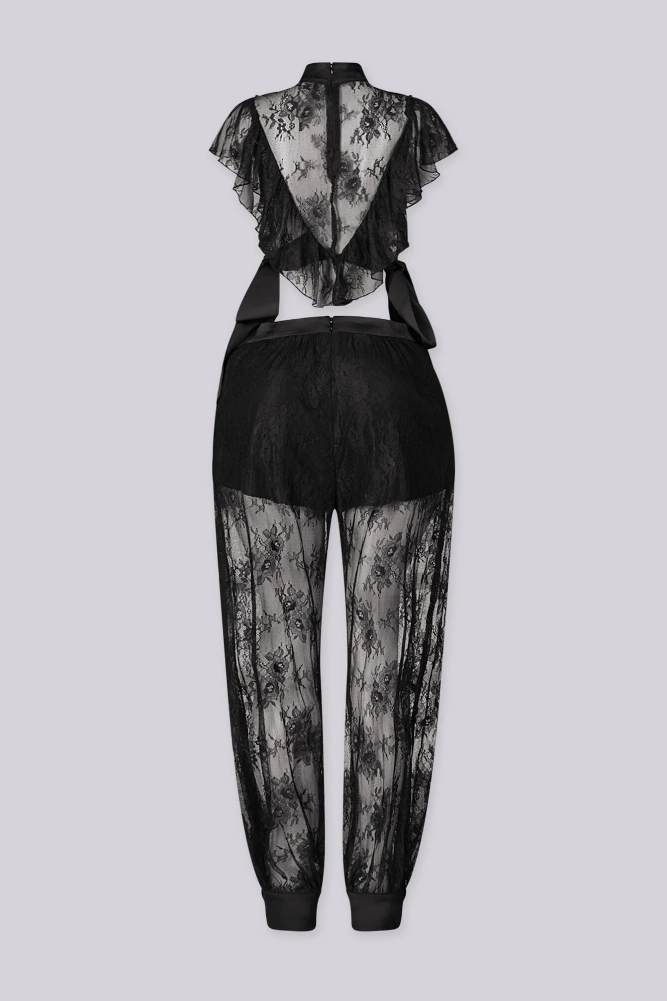 Sinful Sheer Lace Top & Pants SET - Image 5